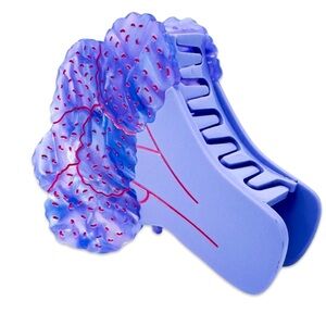 Jenny Lemons large purple cauliflower claw clip